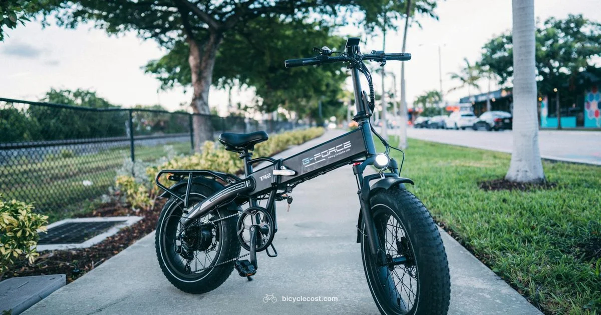 Motorized Bike Buying Guide - BicycleCost