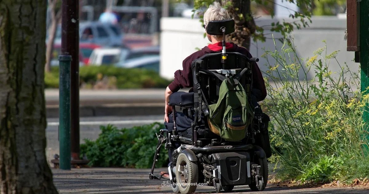 Motorized Bicycle Guide - BicycleCost