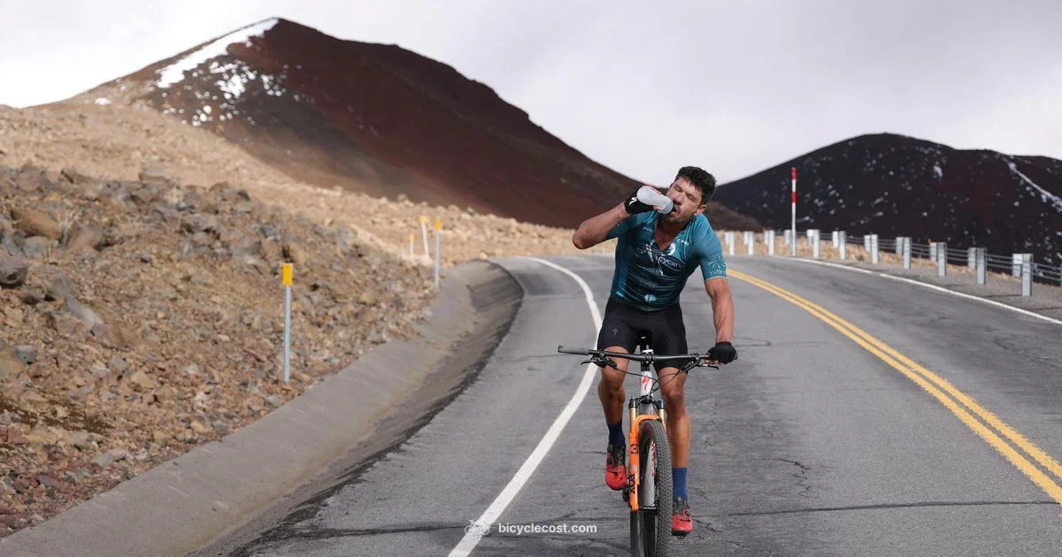 Hydration On The Go - BicycleCost