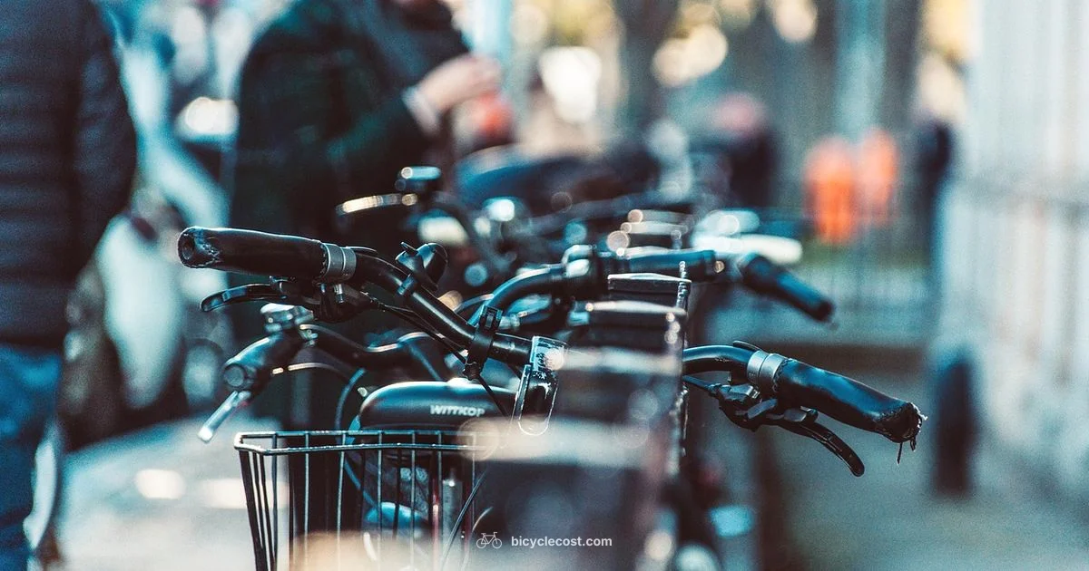 Lost Bike Key - BicycleCost