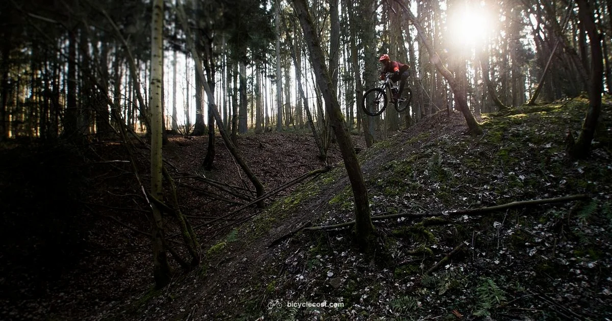 MTB Guide - BicycleCost