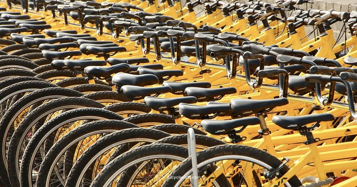 Nearby Bike Shops - BicycleCost