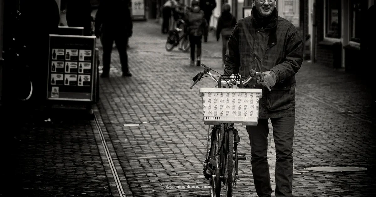 Basket Ready Ride - BicycleCost