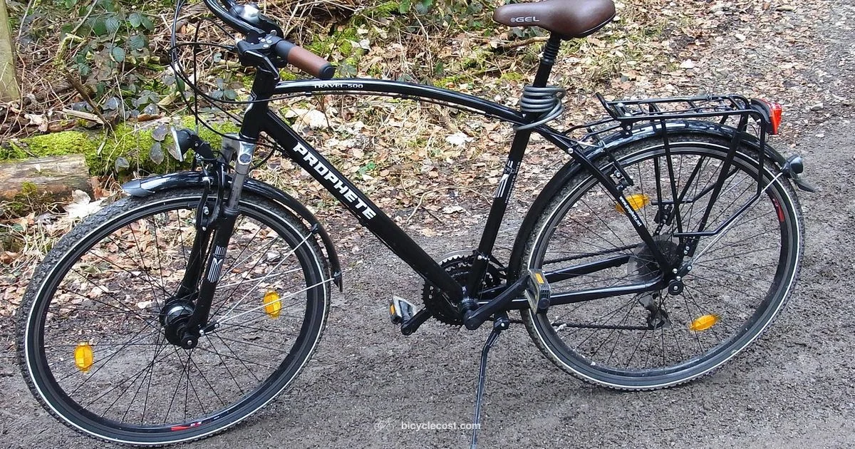 Carry Your Dog Safely - BicycleCost