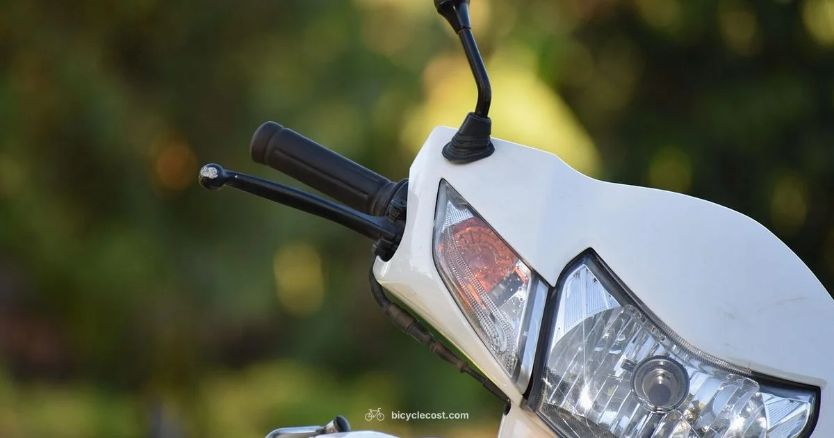 Bike Carrier Guide - BicycleCost