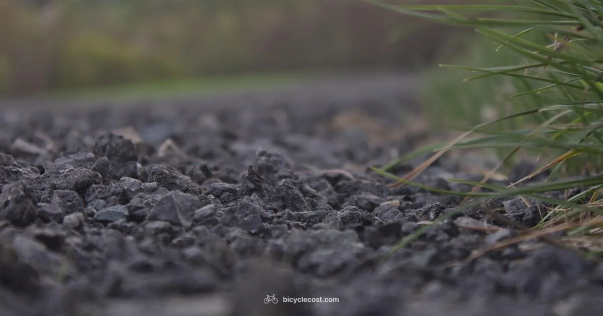 Gravel Bike Guide - BicycleCost