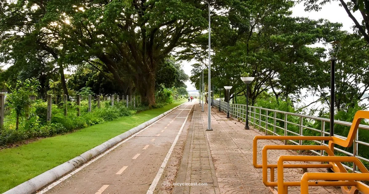 Protected Bike Lanes - BicycleCost