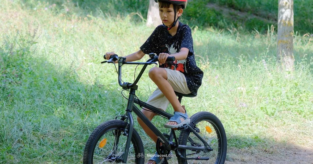 Bike Play and Safety - BicycleCost