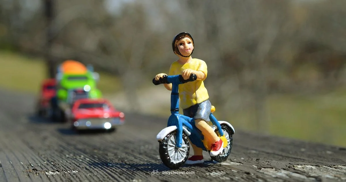 Urban Bike Safety - BicycleCost