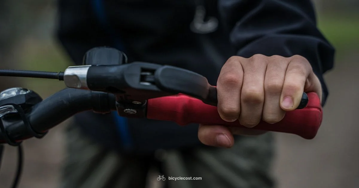 Tighten Bicycle Chain - BicycleCost