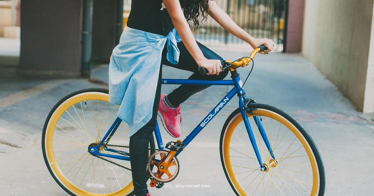 Bike Computer Guide - BicycleCost