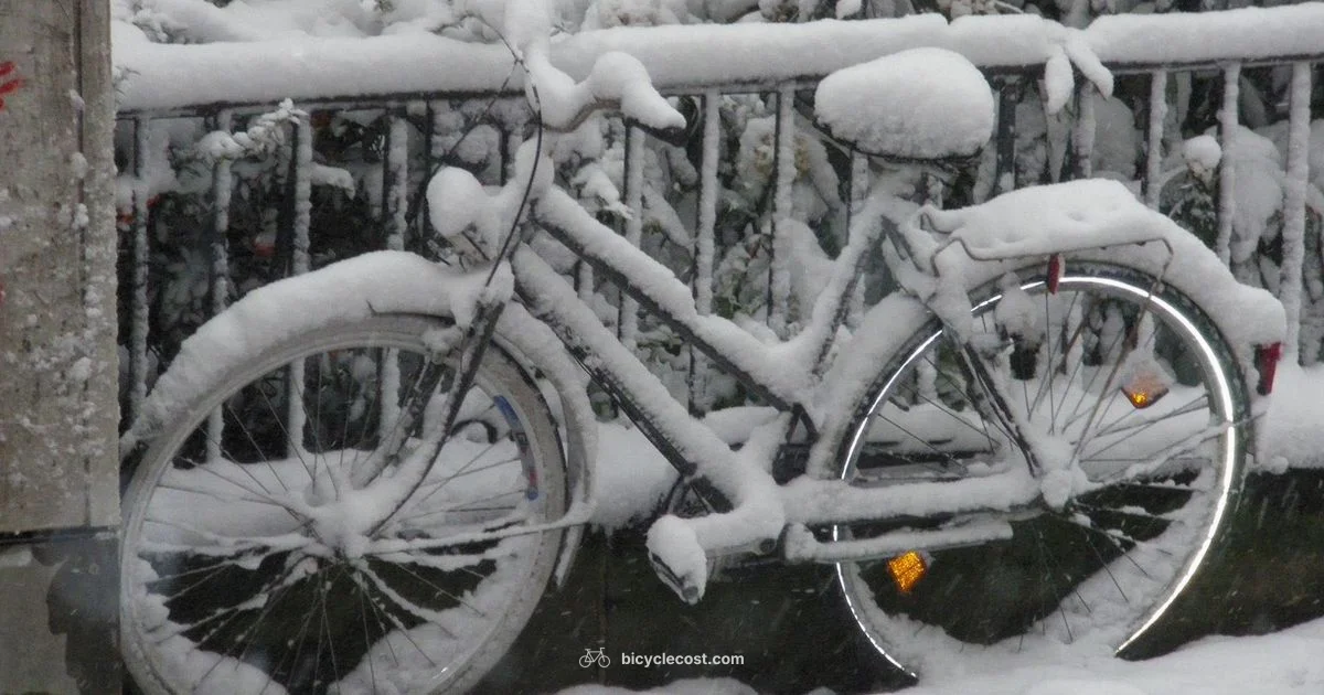 Bicycle Cover Guide - BicycleCost