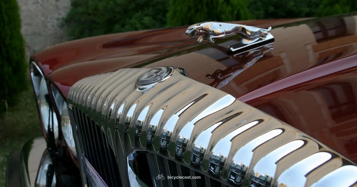 Jaguar Bike Guide - BicycleCost