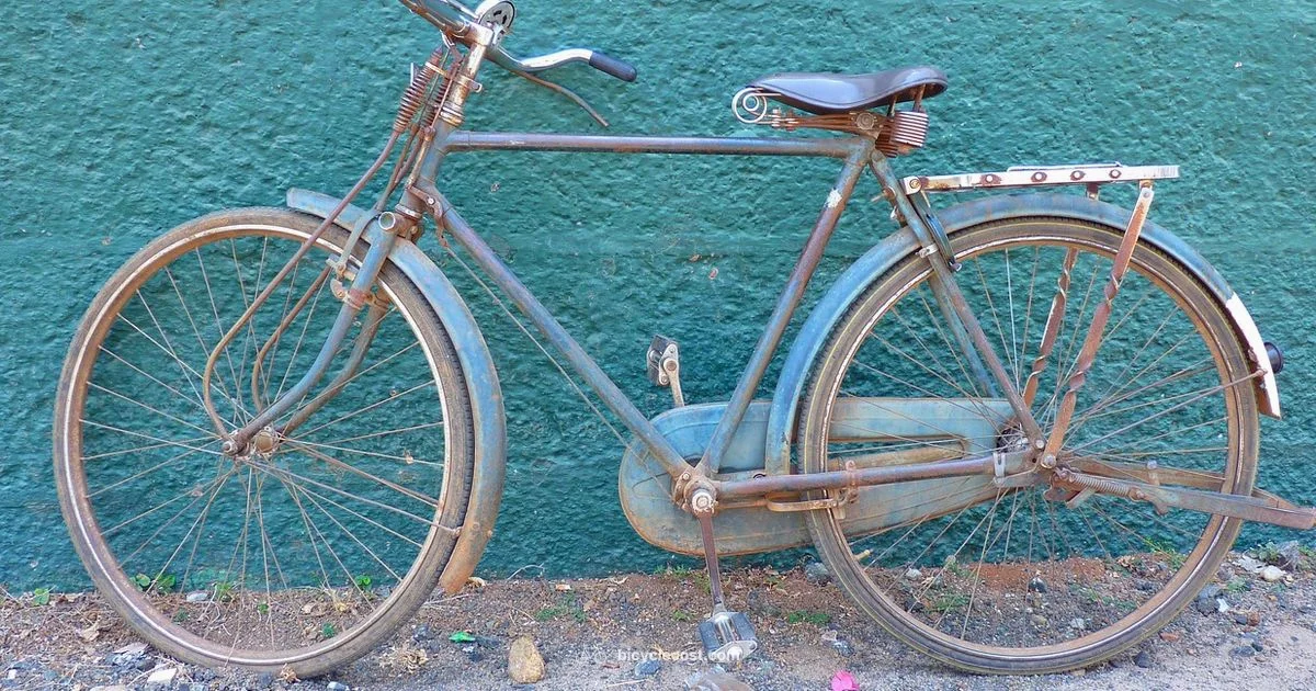 24 Inch Bike Guide - BicycleCost