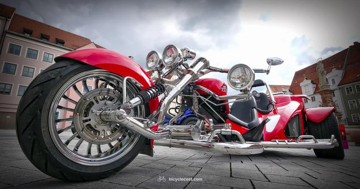 Trike Bike Guide - BicycleCost