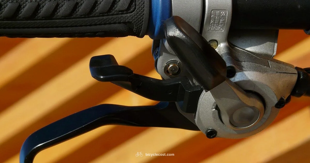 Rust-Free Ride - BicycleCost