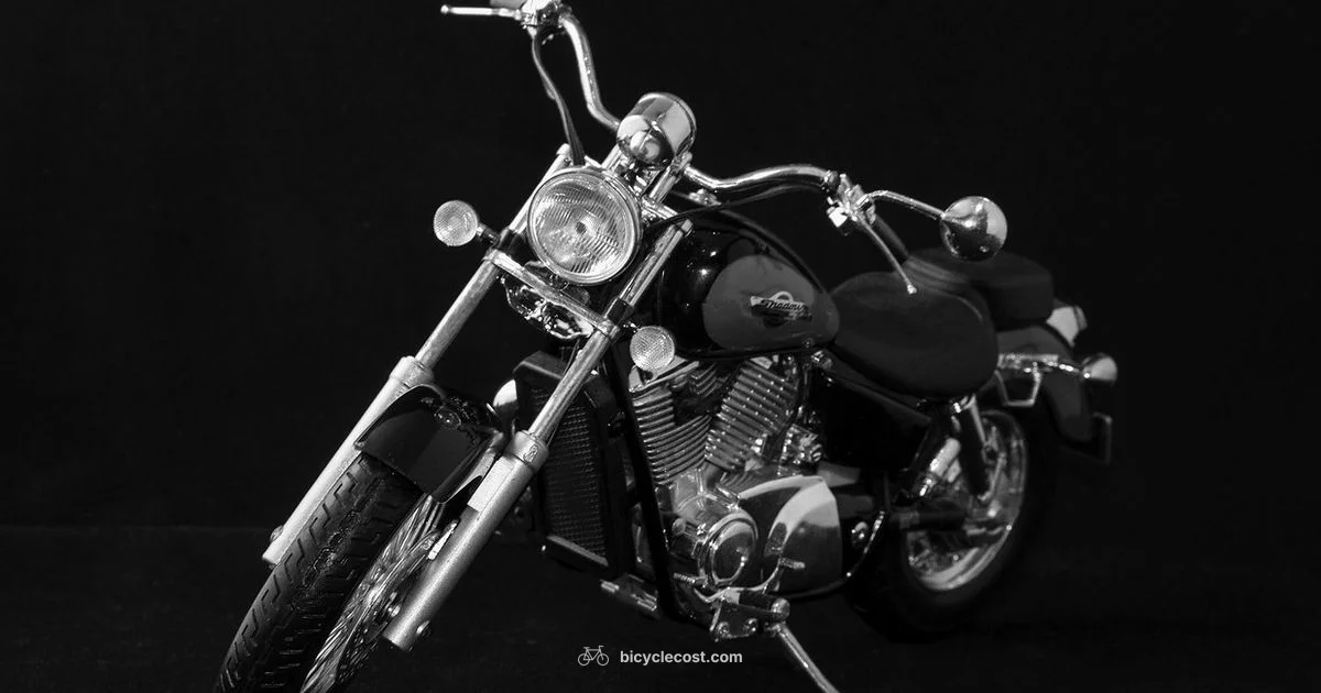 Best Cruiser Bikes 2026 - BicycleCost