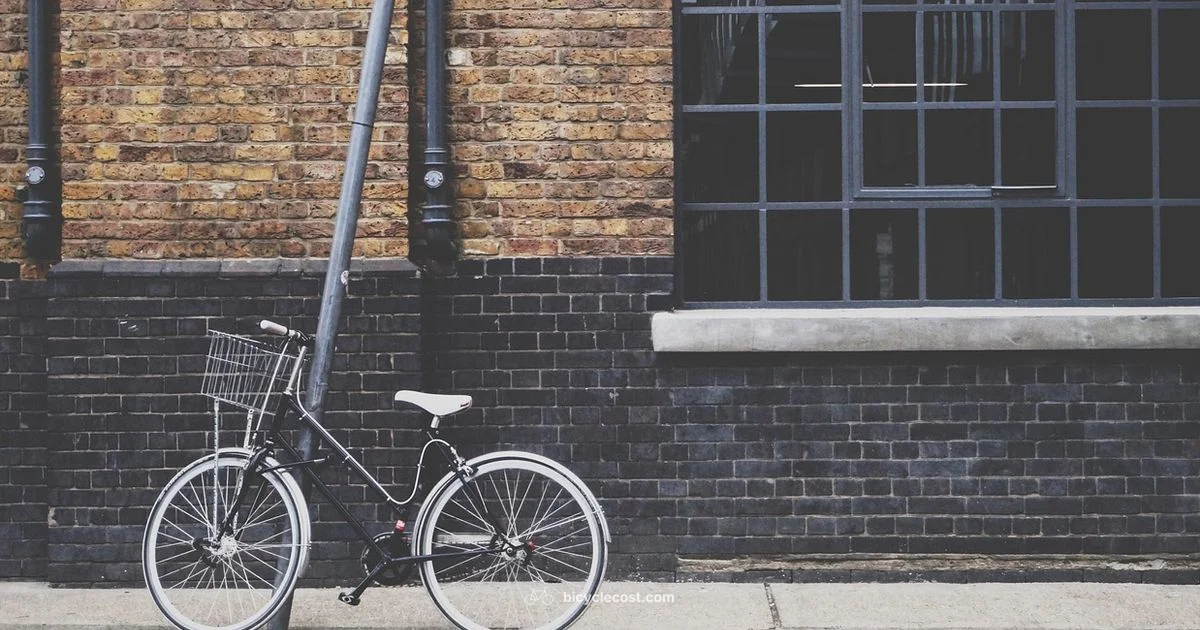Bicycle Storage Wall - BicycleCost