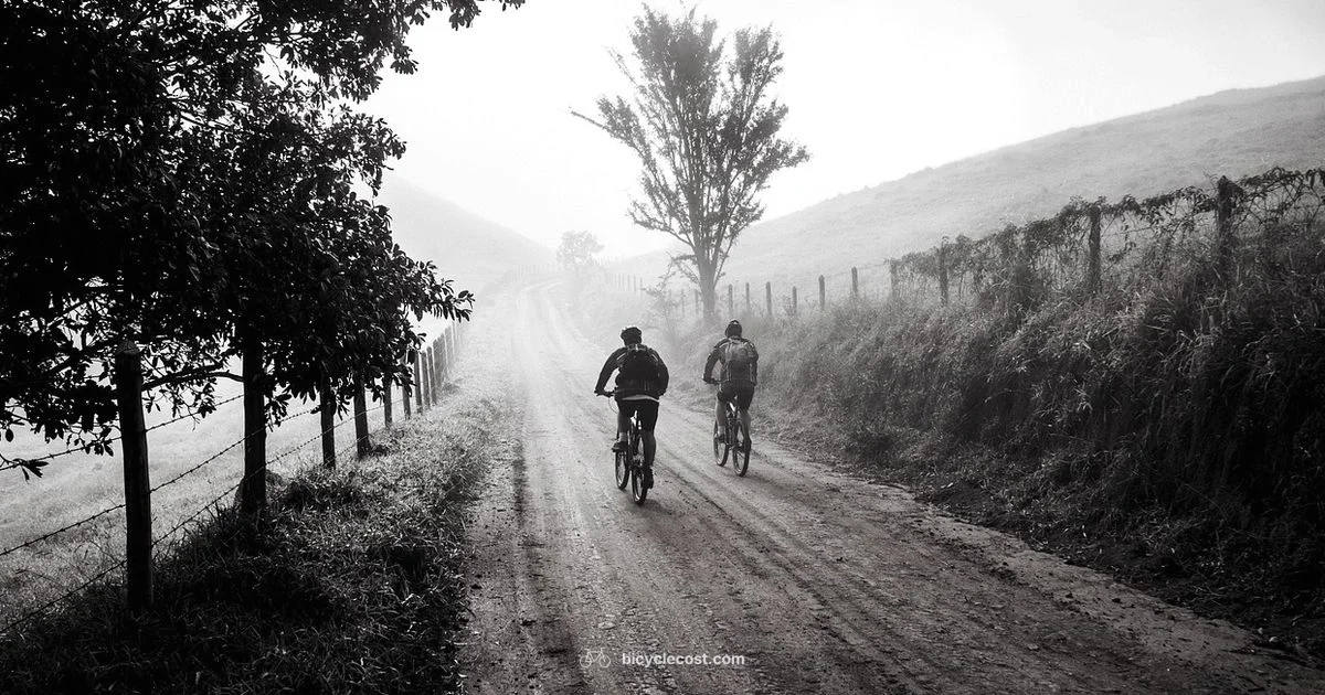 Health by Pedal - BicycleCost