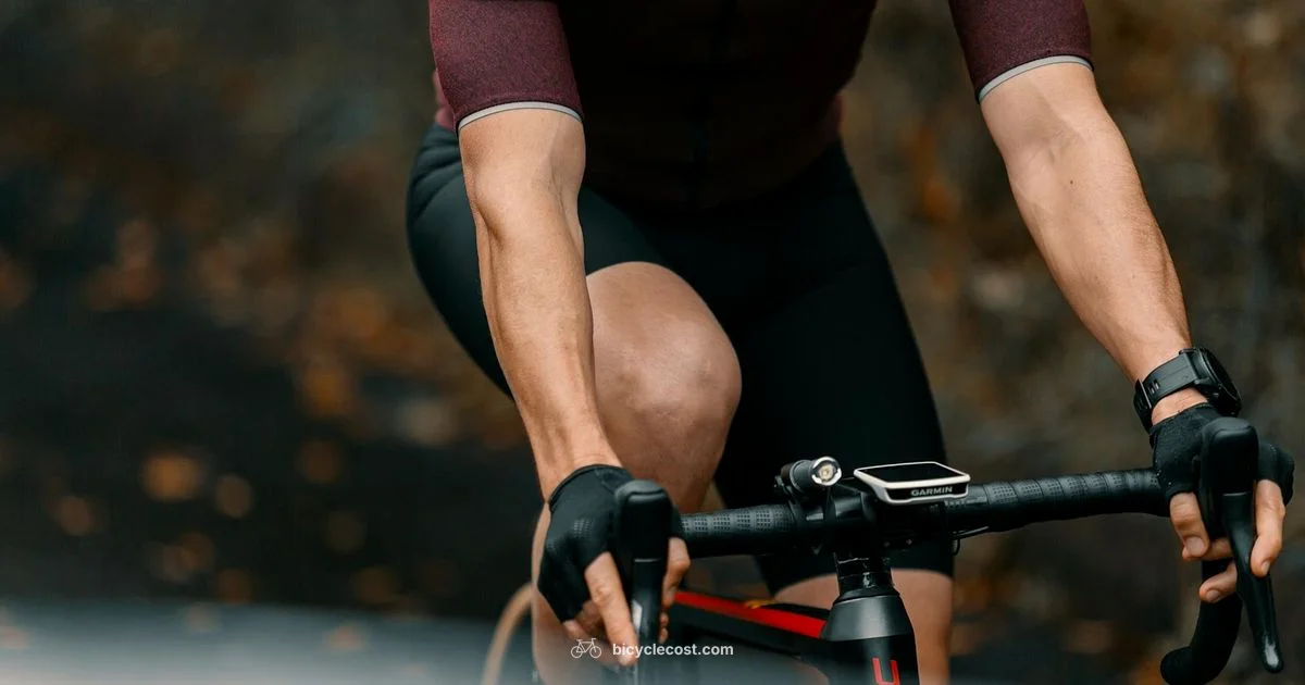 Gloves Guide 2026 - BicycleCost