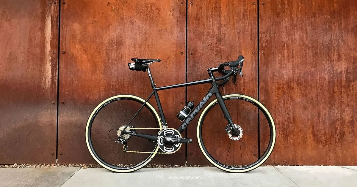 Beginner Bike Guide - BicycleCost