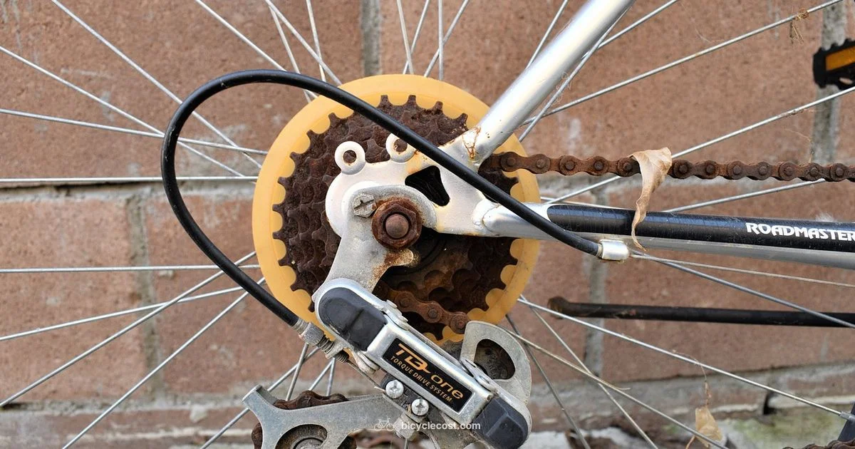 Bicycle Gearing Guide - BicycleCost
