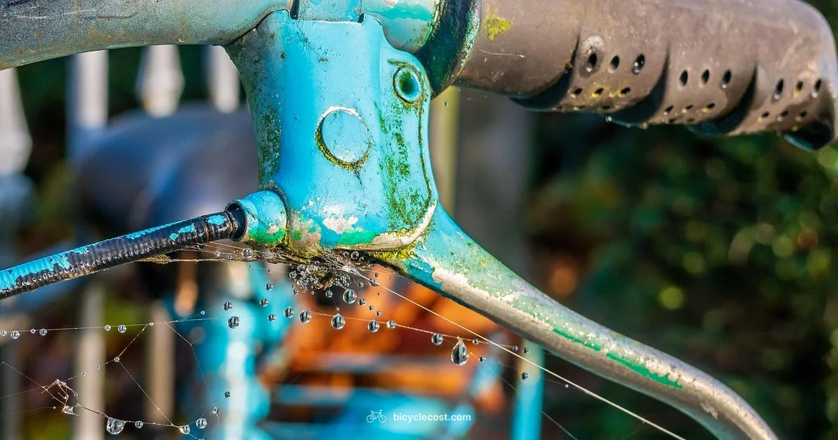 Origins of the Bicycle - BicycleCost