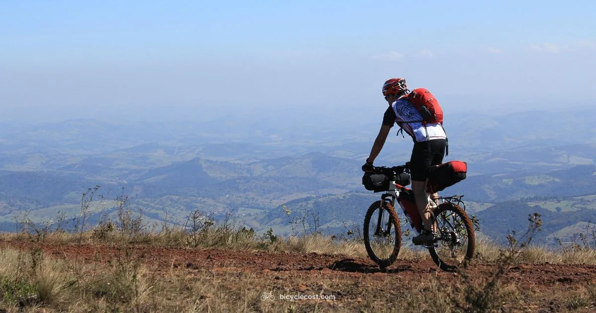 Fly With Bike - BicycleCost