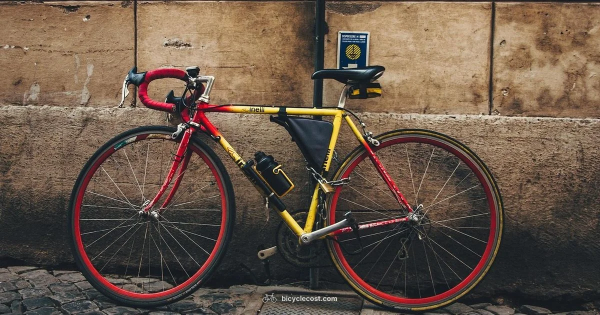 Choosing a Touring Bike - BicycleCost