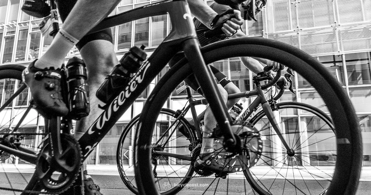 Cycling Vest Guide - BicycleCost