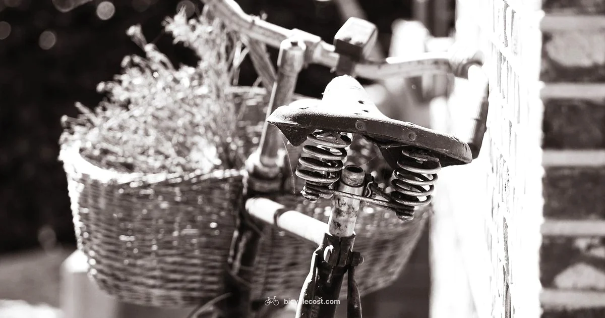 Bicycle History - BicycleCost