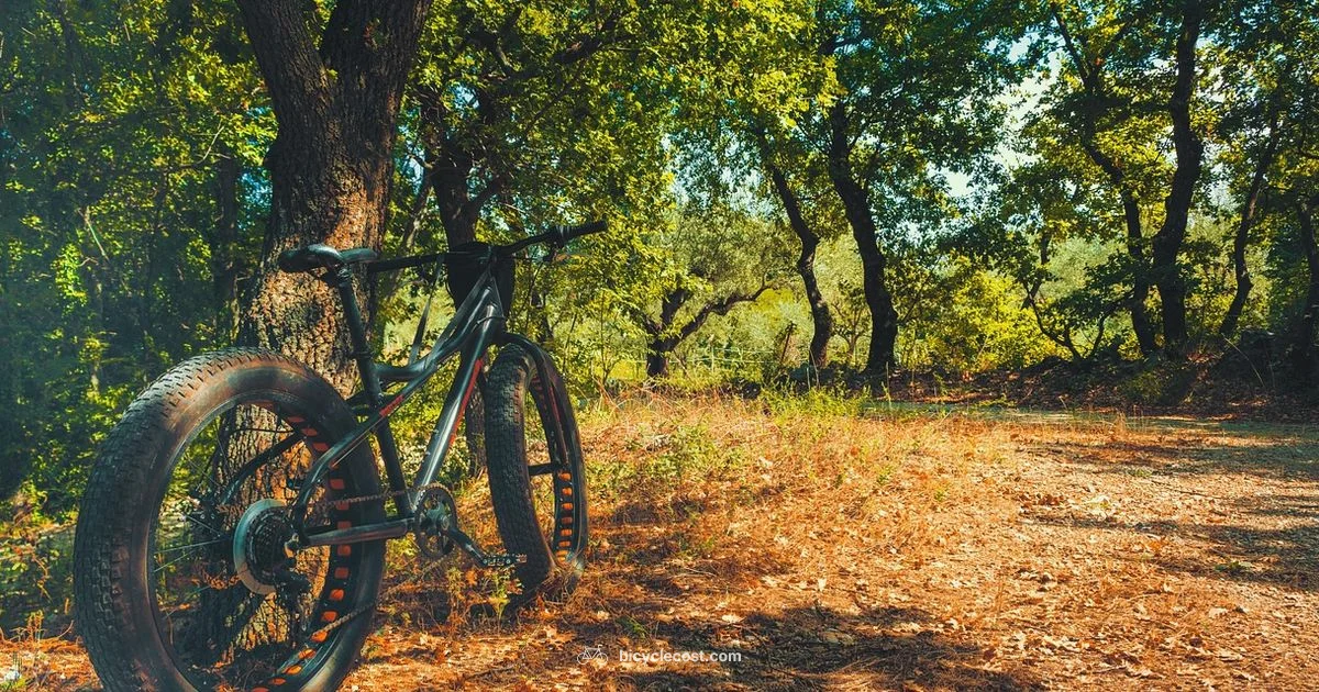 Fat Loss Cycling - BicycleCost