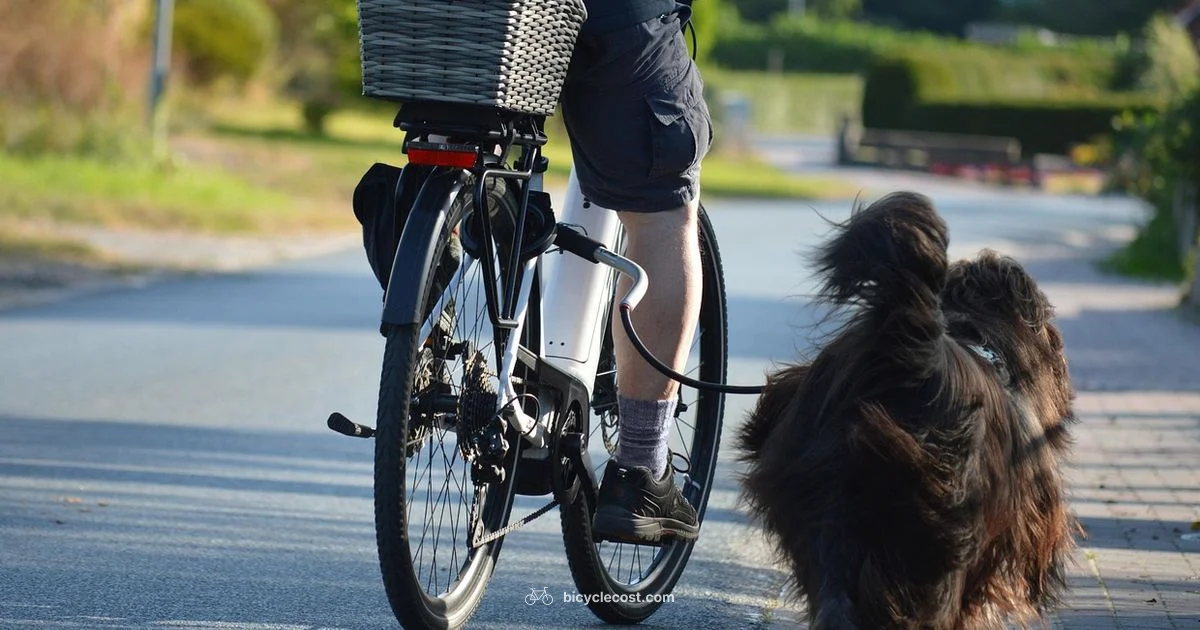 Dog Carrier Bike - BicycleCost