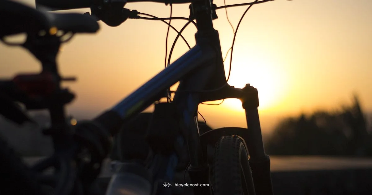 Endurance Showdown - BicycleCost