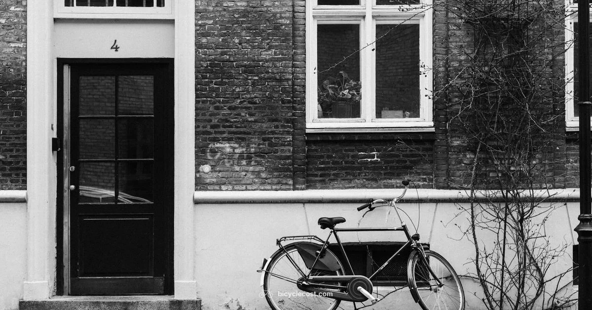 Find Your Size - BicycleCost