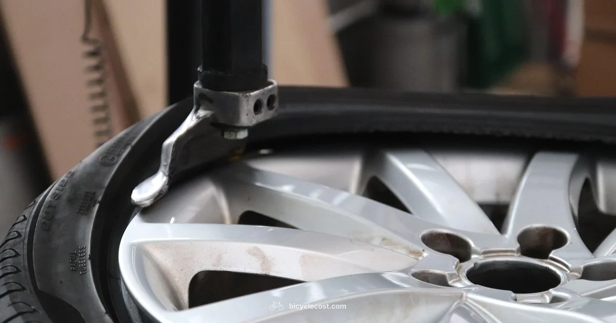 Bike Life Timeline - BicycleCost