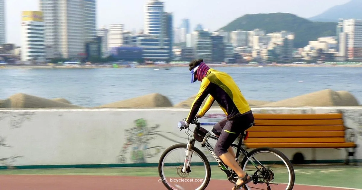 Bike vs Walk - BicycleCost