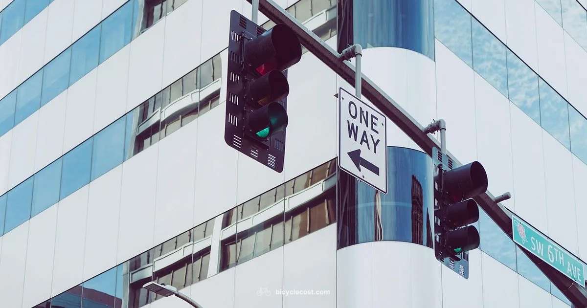 City Electric Ride - BicycleCost