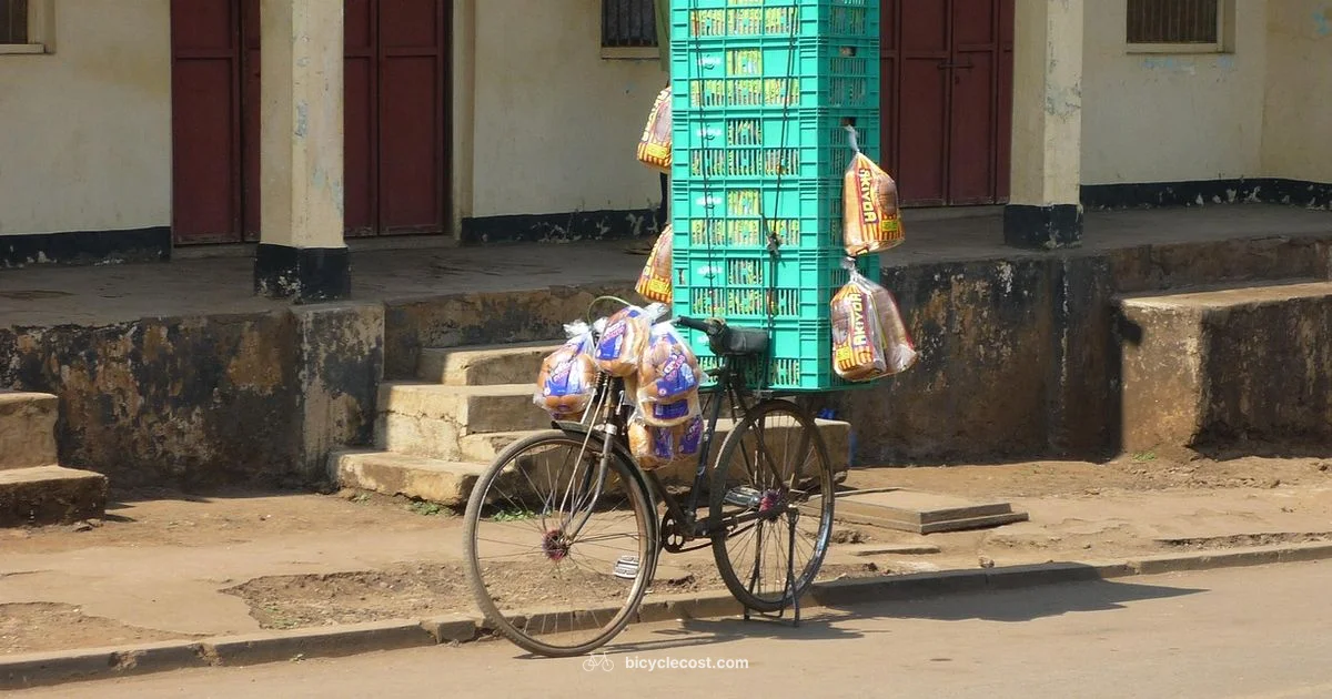 Bicycle for Sale - BicycleCost