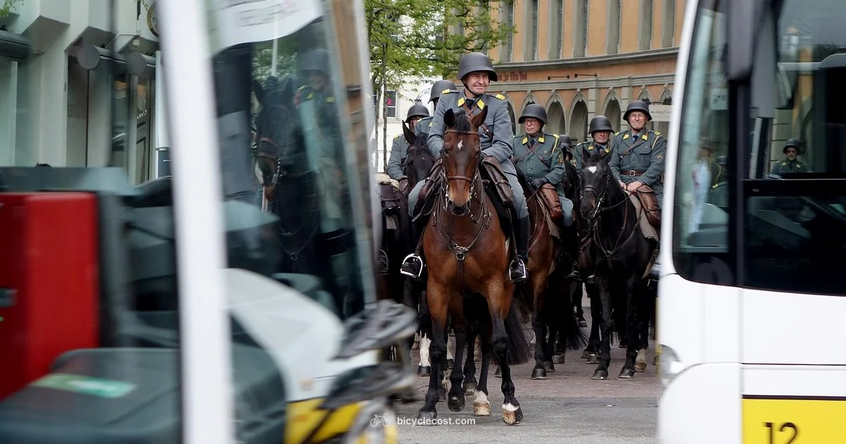 Bike Basics - BicycleCost