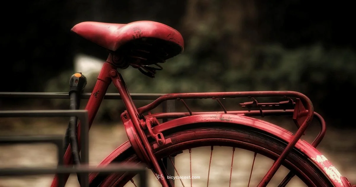 Saddle Fit Guide - BicycleCost