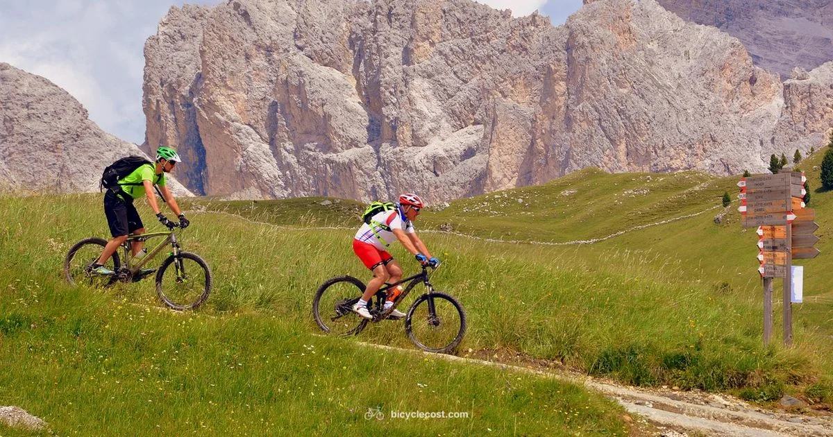 Top Bicycle Brands Top Bicycle Brands - BicycleCost