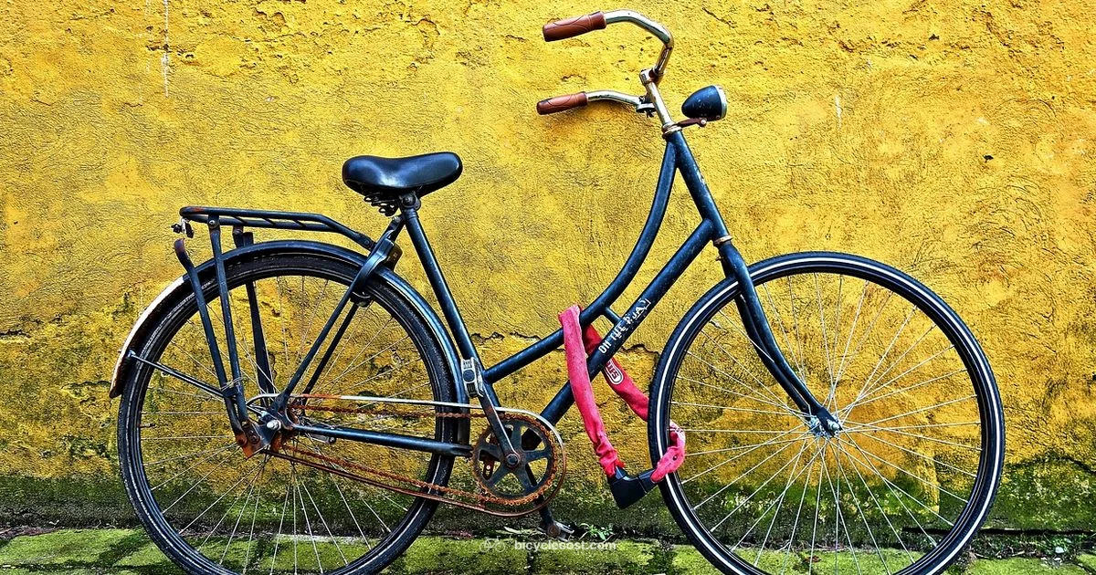 Chain Check Guide - BicycleCost