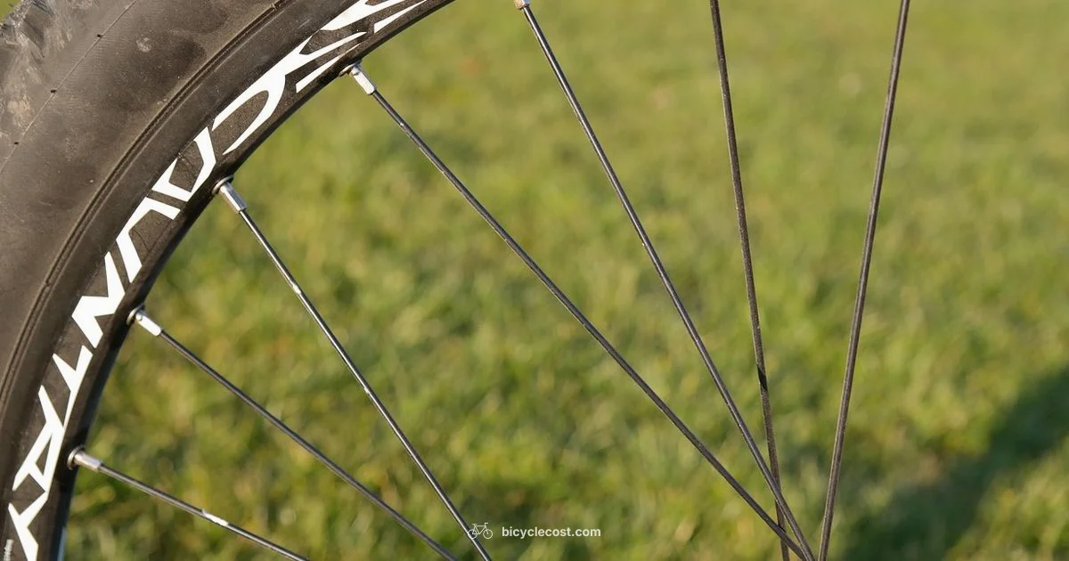 Slime in Tires - BicycleCost