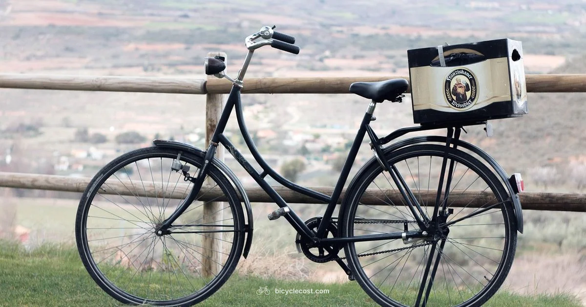 Bike Type Guide - BicycleCost