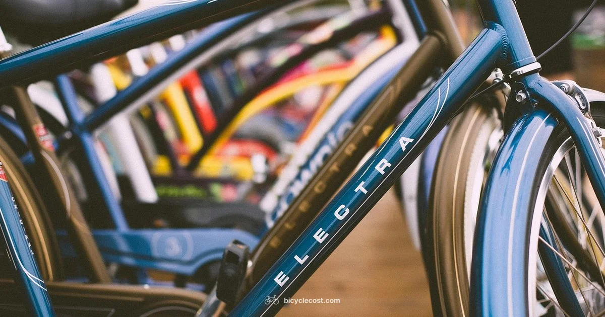 Electra E Bike Guide - BicycleCost