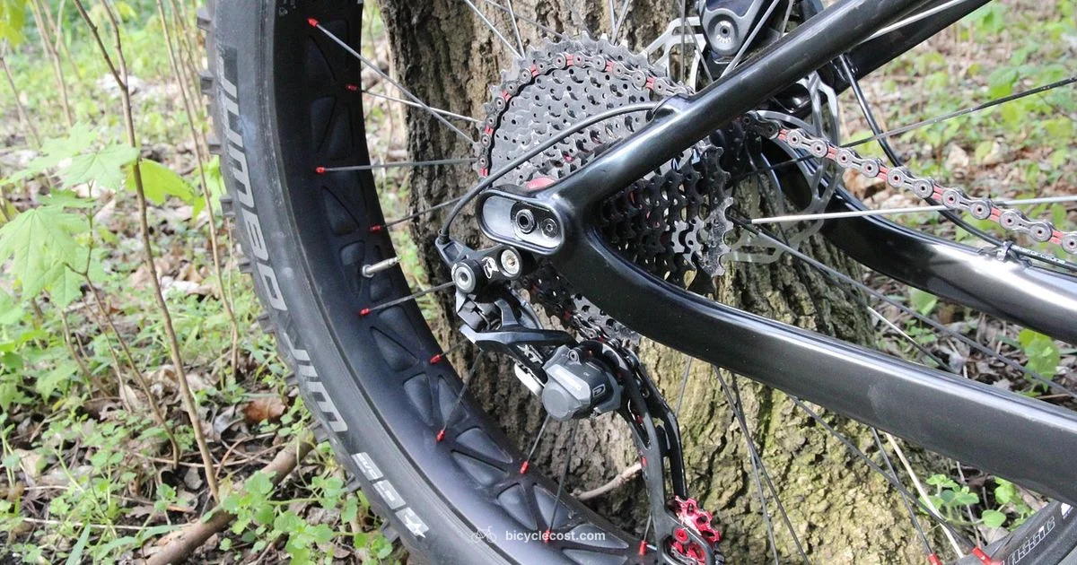 Tyre Disposal Guide - BicycleCost