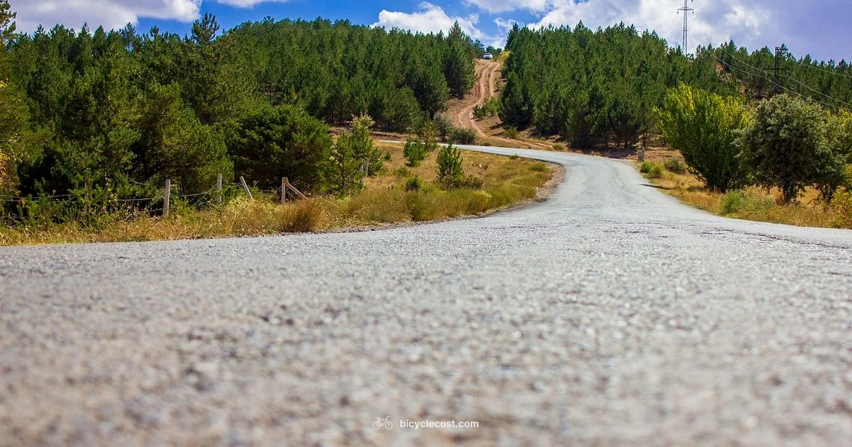 Marin Gravel Guide - BicycleCost