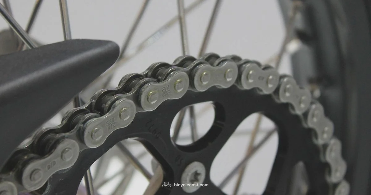 Clean Chain Grease - BicycleCost