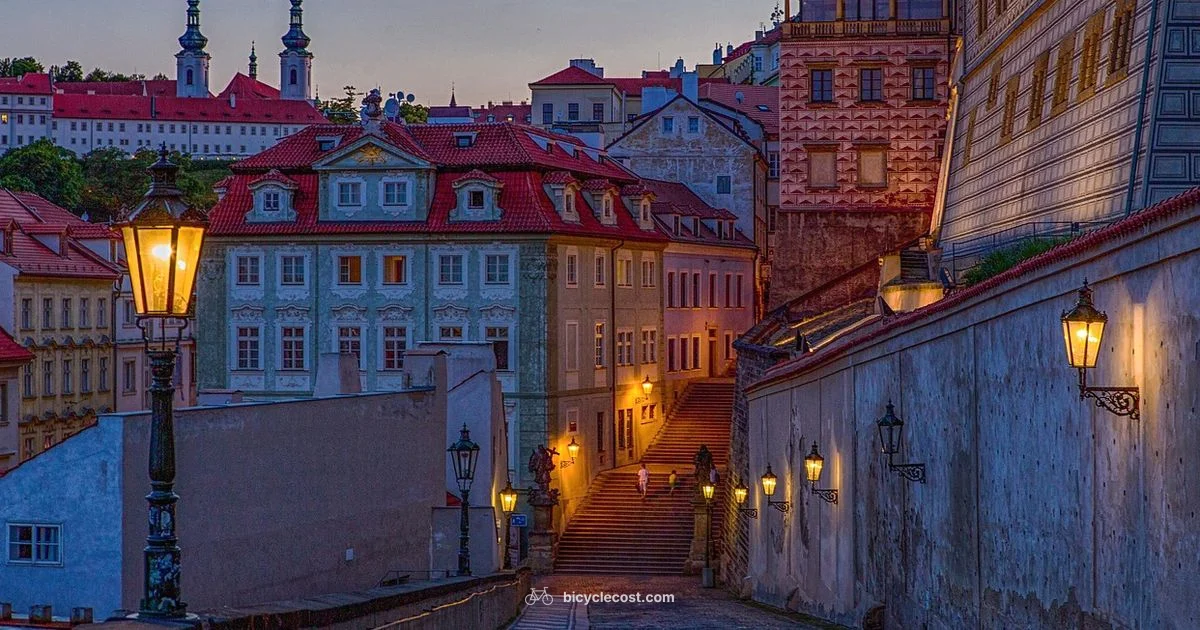 Four Wheel Bike Guide - BicycleCost